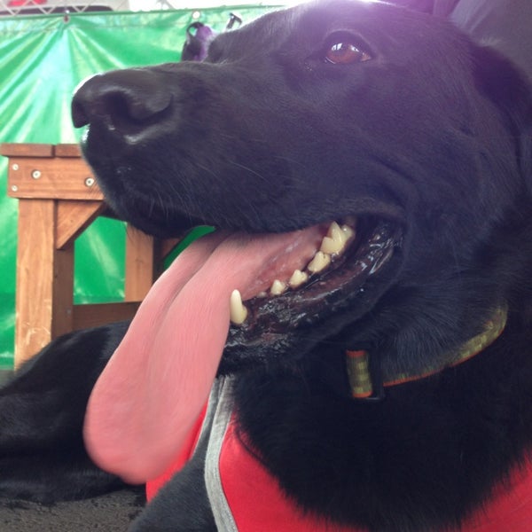 Photos At Trimming Caffe Lic Pet Store In Fukuoka