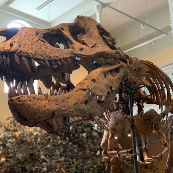 Foto diambil di Carnegie Museum of Natural History oleh Ted B. pada 7/4/2019