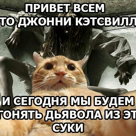 Мем с котом бойся привет