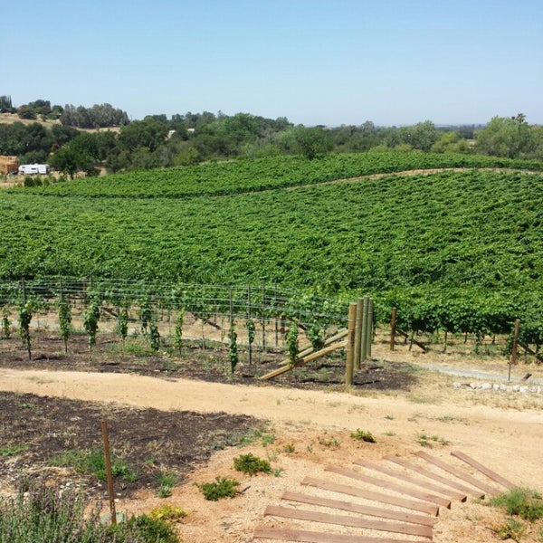 6/7/2014 tarihinde Adrian B.ziyaretçi tarafından Wise Villa Winery'de çekilen fotoğraf