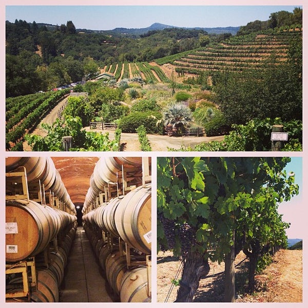 Benziger Winery Wedding Benziger Family Winery | ExploRVistas