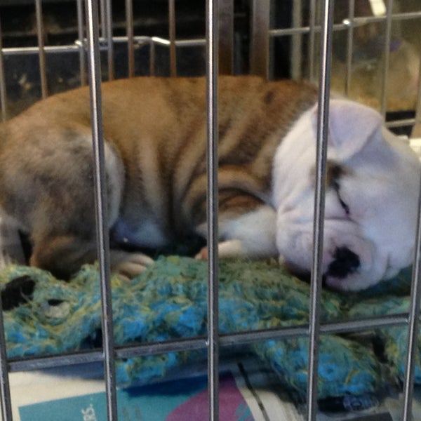 Photos at Kalihi Pet Center Pet Supplies Store in Honolulu