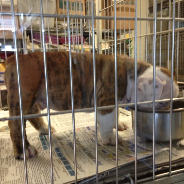 Photos at Kalihi Pet Center Pet Supplies Store in Honolulu