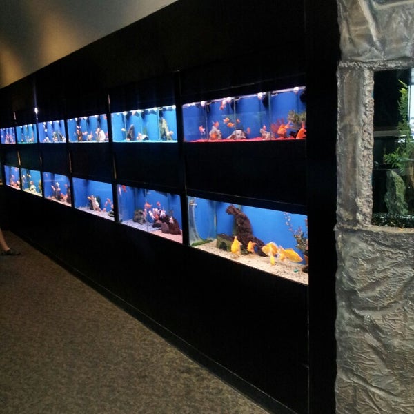 Aquarium World Pet Supplies Store