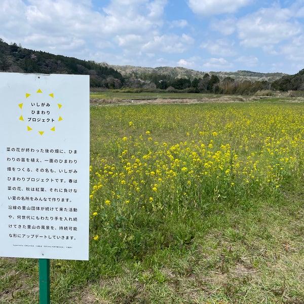 石神の菜の花畑 市原市のその他の素晴らしいアウトドア 石神の菜の花畑 市原市のその他の素晴らしいアウトドア
