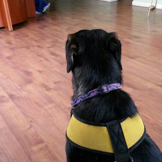 Lou's Place Low Cost Vet Care 1 tip