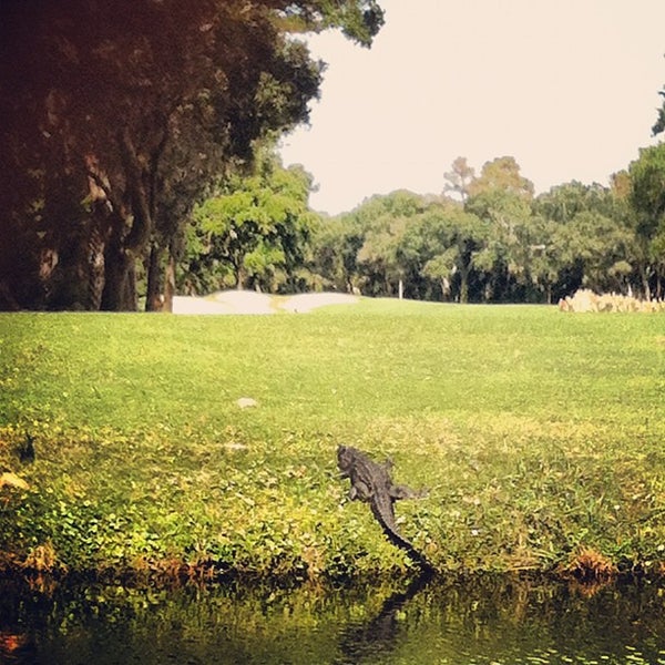 Снимок сделан в Kiawah Golf Rentals пользователем Matt B. 10/28/2012