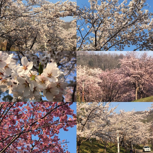 Photos At 東明公園 141 Visitors