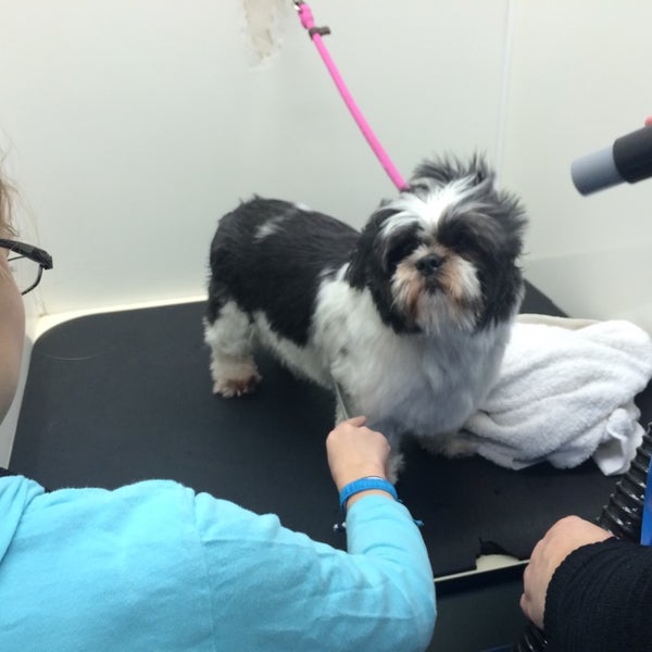 Photos At Four Paws Pantry Spa Pet Service In Olathe
