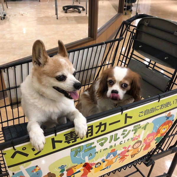 ロイヤルホームセンター 戸塚深谷店 Furniture Home Store In 戸塚区 ロイヤルホームセンター 戸塚深谷店 Furniture Home Store In 戸塚区