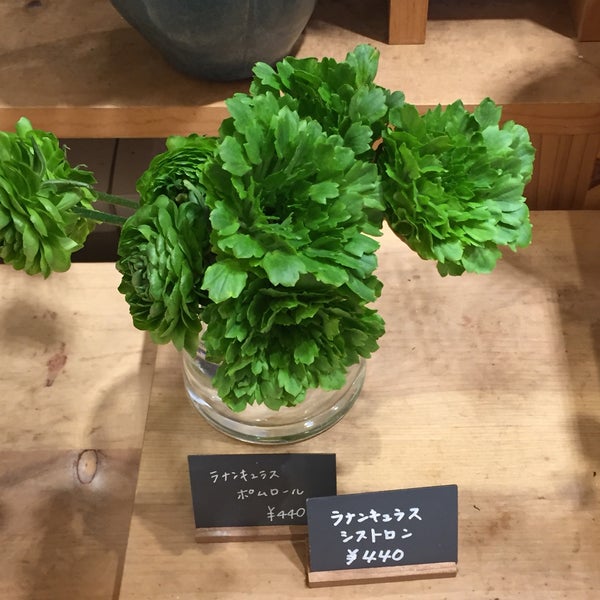 Photos At Green Wise Sprout 二子玉川 東京 東京都