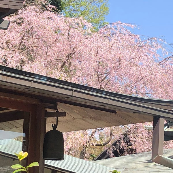 Photos At 東慶寺 10 Tips From 1246 Visitors Photos At 東慶寺 10 Tips From 1246 Visitors