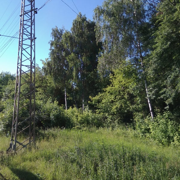 Погода фаустово московская. Погода фаустово московская