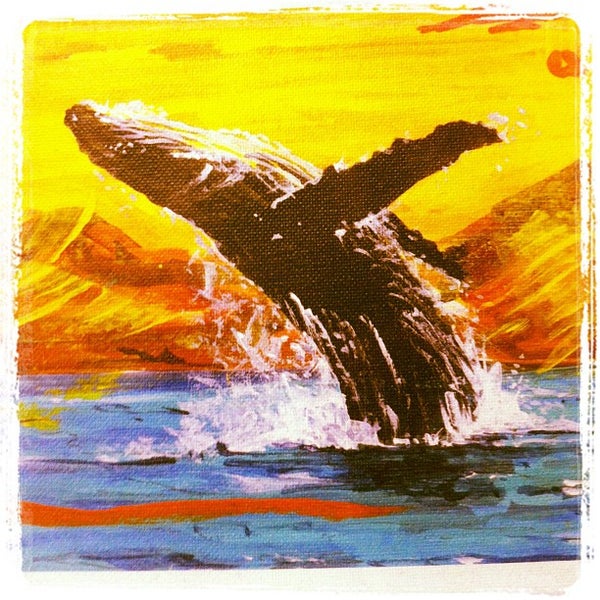 Снимок сделан в Pacific Whale Foundation пользователем B O. 12/24/2012