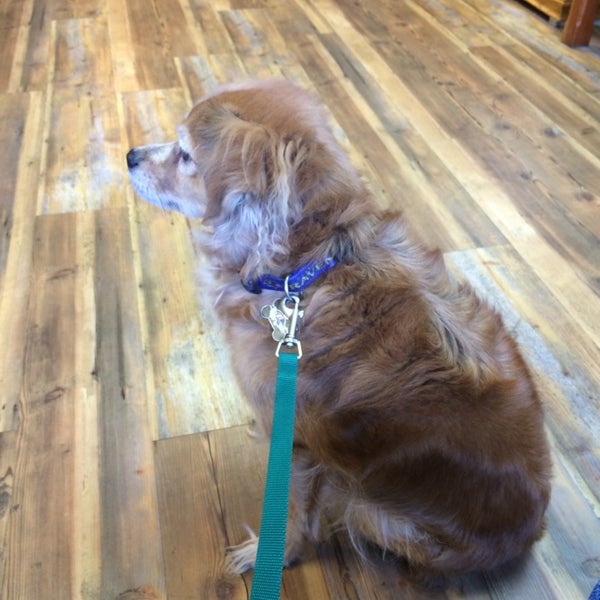 muddy creek animal hospital phone number