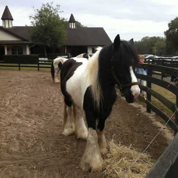 2/6/2013 tarihinde Cole S.ziyaretçi tarafından Gypsy Gold Horse Farm'de çekilen fotoğraf