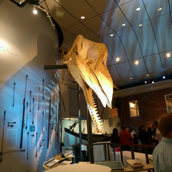 Снимок сделан в The Whaling Museum пользователем 🍍AnastasiA🍍 9/17/2016