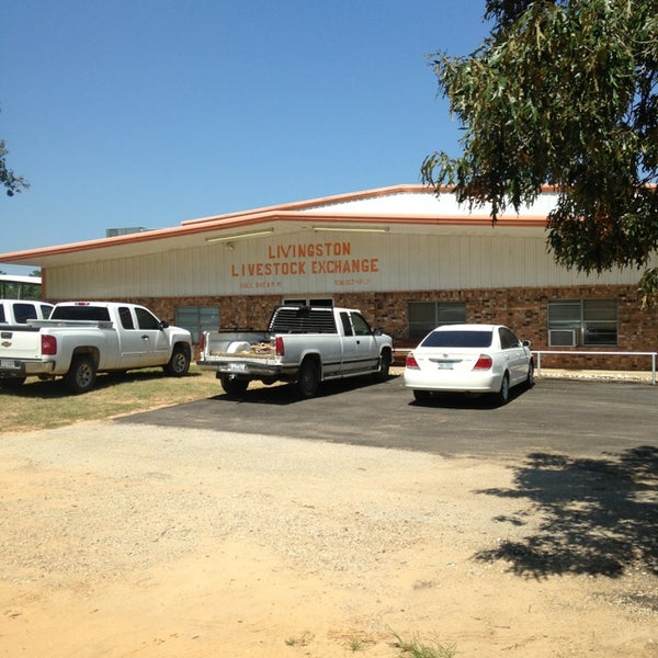 Photos at Arena Veterinary Clinic 1801 S Houston Ave