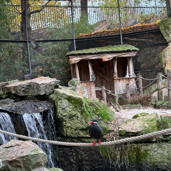 Foto diambil di Zoo Berlin oleh Tania G. pada 11/13/2023
