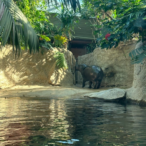 9/21/2023 tarihinde Tania G.ziyaretçi tarafından Zoo Berlin'de çekilen fotoğraf