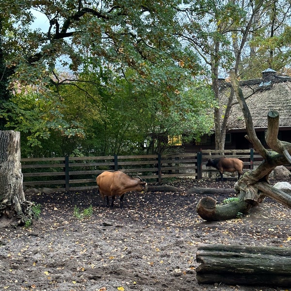 Foto diambil di Zoo Berlin oleh Tania G. pada 11/1/2023