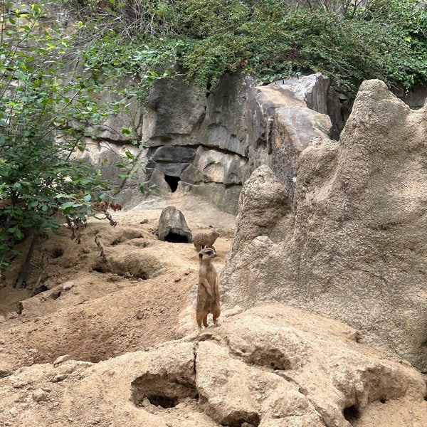 Foto diambil di Zoo Berlin oleh Tania G. pada 8/21/2023