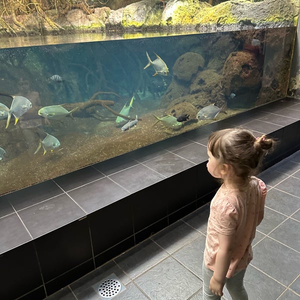 Foto tomada en Aquarium Berlin  por Tania G. el 8/21/2023