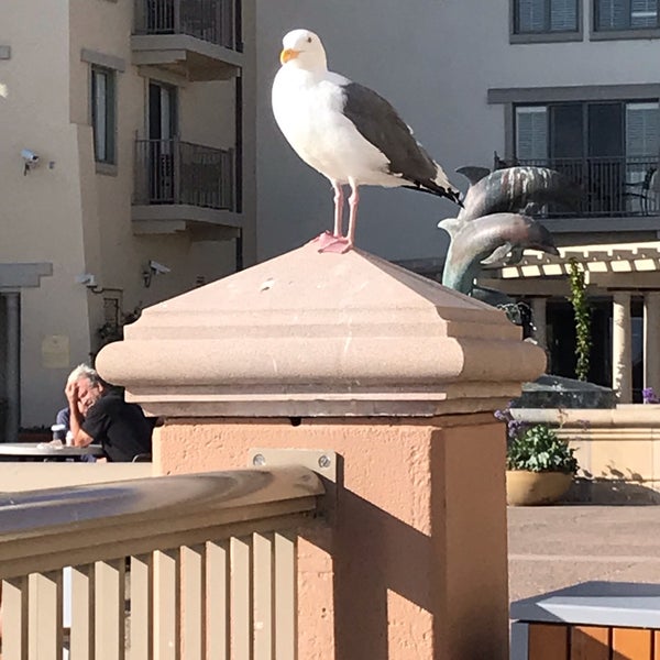 Das Foto wurde bei Monterey Plaza Hotel &amp; Spa von Tammy C. am 10/1/2019 aufgenommen