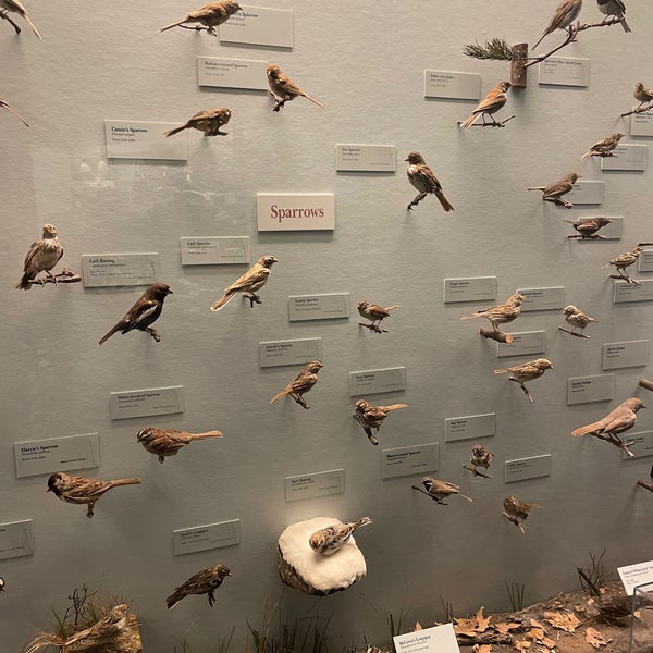 Photo taken at The Field Museum by Tammy C. on 5/16/2024