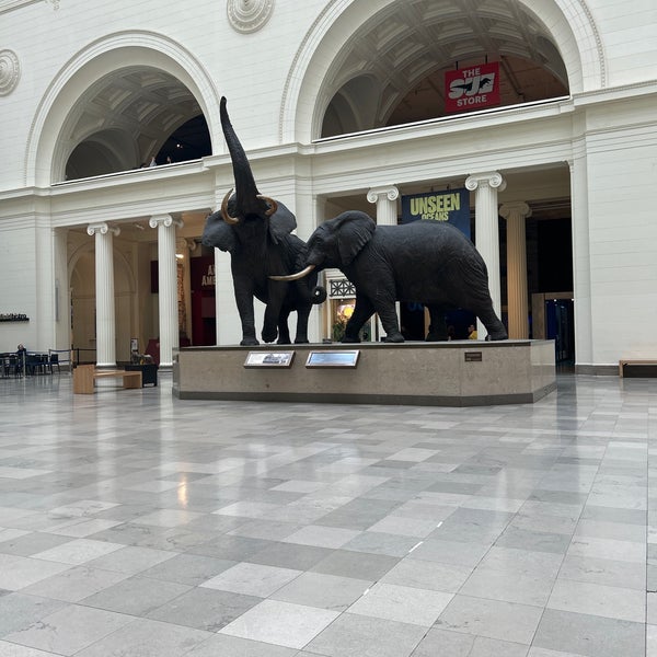 Photo taken at The Field Museum by Bruce C. on 5/16/2024