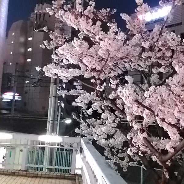 五反田桜小路 Praca De Alimentacao Em 品川区 五反田桜小路 Praca De Alimentacao Em 品川区