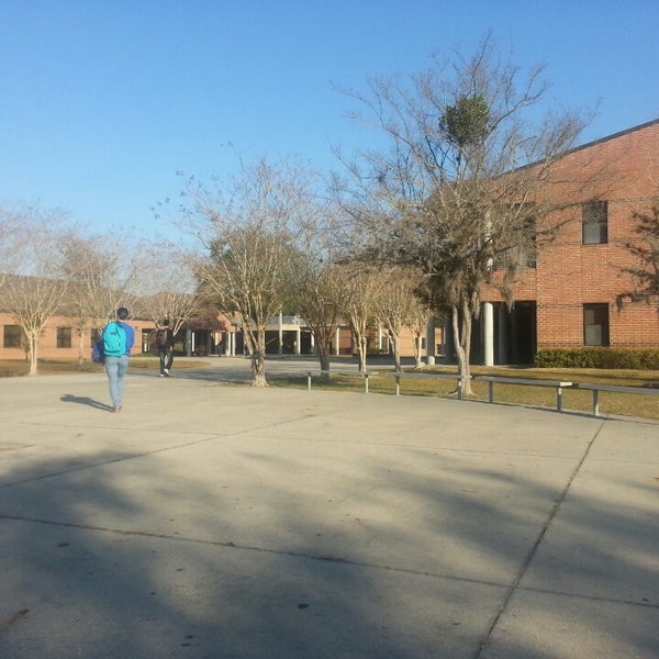 Belleview High School Colorado