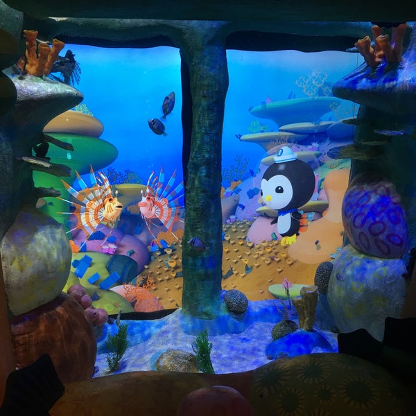 7/1/2017에 Jenny K.님이 SEA LIFE Grapevine Aquarium에서 찍은 사진