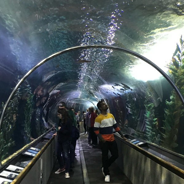 Foto tirada no(a) Aquarium of the Bay por Sriram S. em 10/4/2019