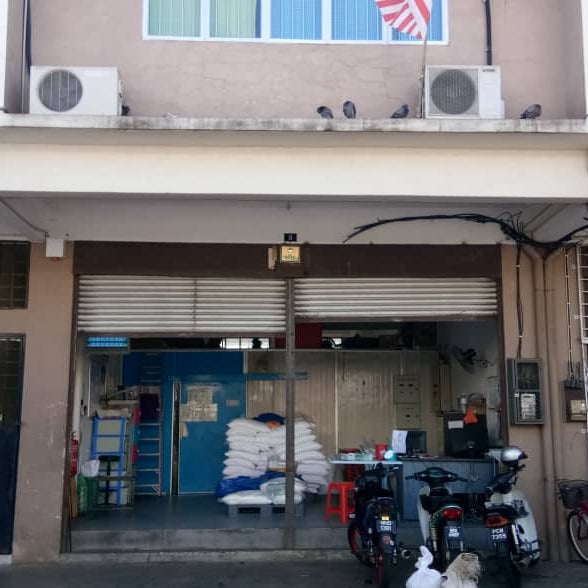 Golden Bons Best Food 1 Tip