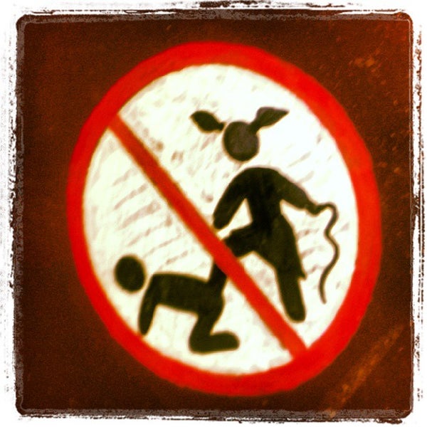 Зеленый кот краснодар