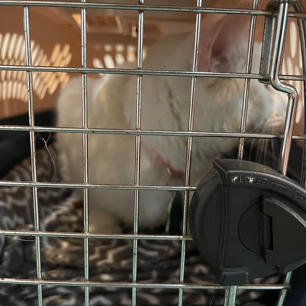 Block House Creek Animal Hospital 1 tip from 49 visitors