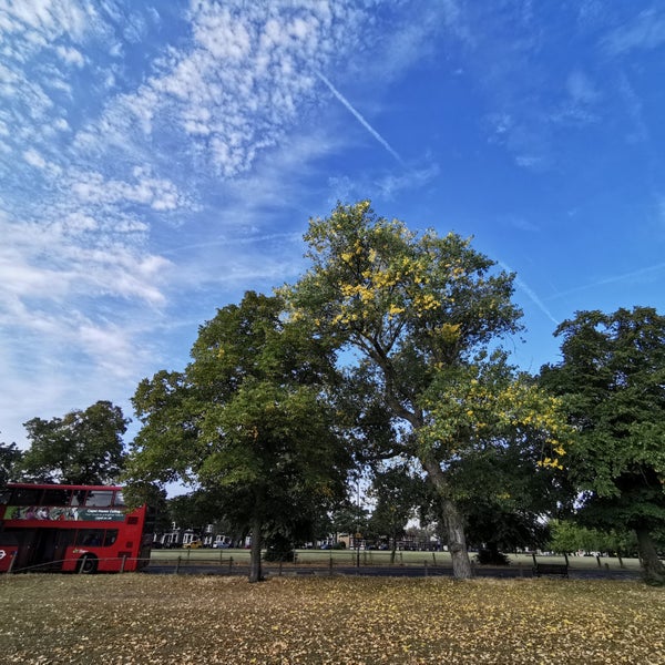Plumstead Common Park in London