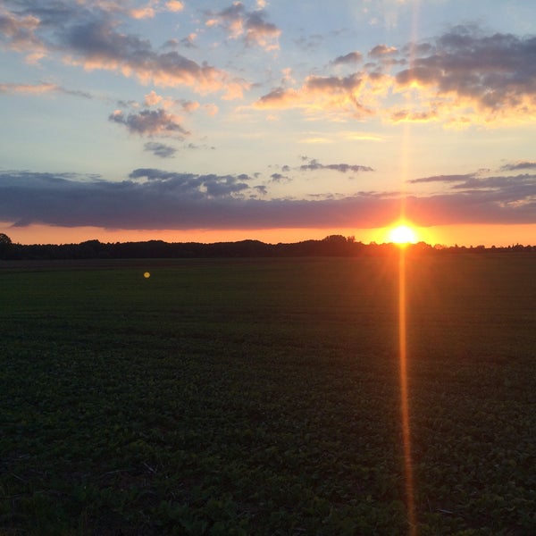 Травел фотография поле. Агроном с планшетом в поле. Вьетнам рисовые плантации. Пустынныестеп. Фермеры сток в поле.