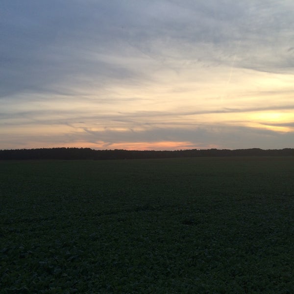 Out in the fields. Дорога в степи. Проект «россия: 85 приключений». Out in the fields. Один человек в поле.