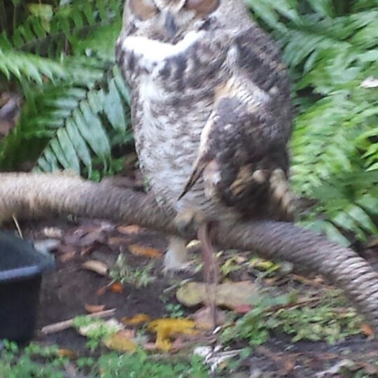 Photo taken at Audubon Center for Birds of Prey by Bonnie Lee M. on 12/7/2013