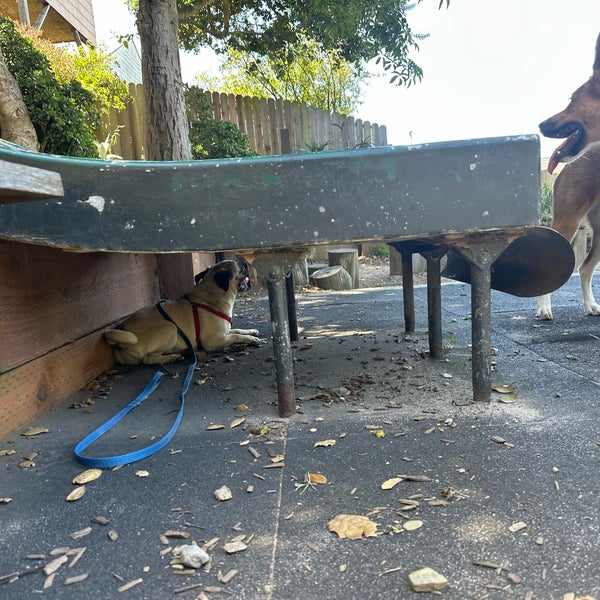 Esmeralda Slide Park Bernal Heights 4 tips