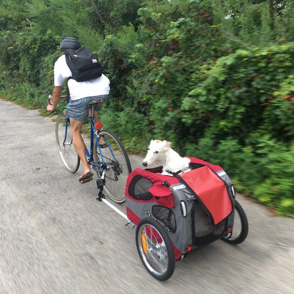 Belt Pkwy Bike Path Bike Trail in Brooklyn