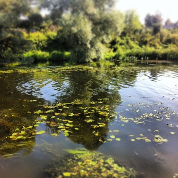 П. Ерино подольск речка десна. Десна, тиз десна-3, д. Десна (приток днепра). Река десна брянск исток.