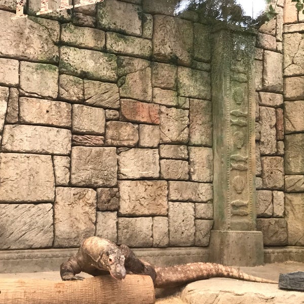 Komodo dragon & others. Small but entry for Shark care. Arrive early to minimize wait time for tickets and then entry. $25