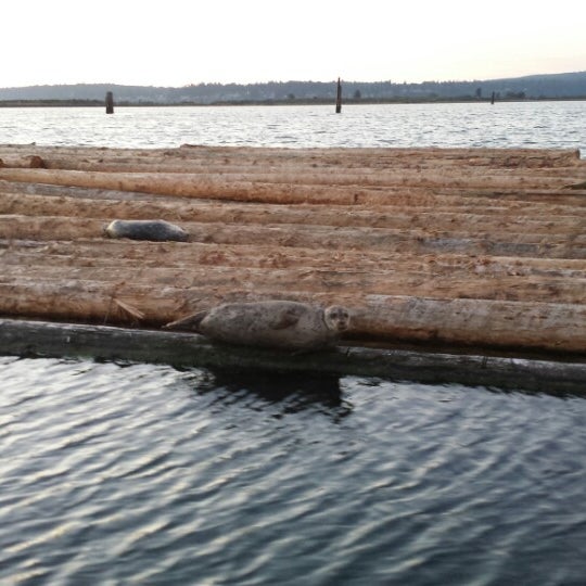 Port of Everett 10th Street Boat Launch Boat Launch in Everett