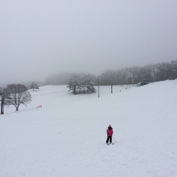 岩山パークスキー場 11 visitors 岩山パークスキー場 11 visitors