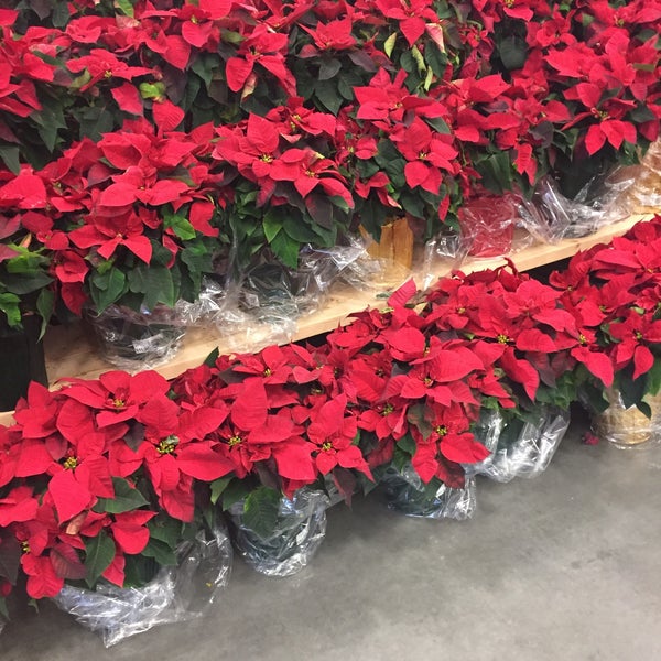 Lowe's Hardware Store