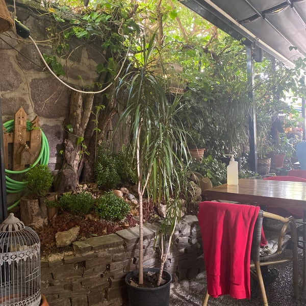 6/25/2022 tarihinde Sabriye K.ziyaretçi tarafından Cafe Botanica'de çekilen fotoğraf