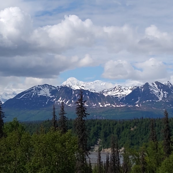 Hap Denali National Park Summer